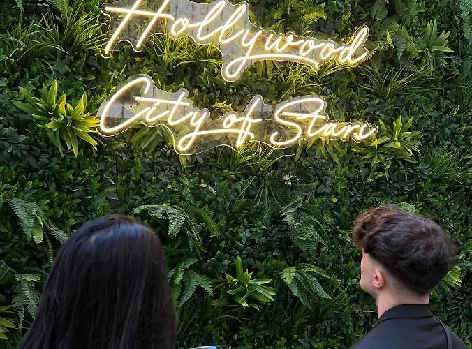 Hollywood By
